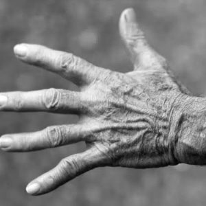 Les crèmes pour mains abimées