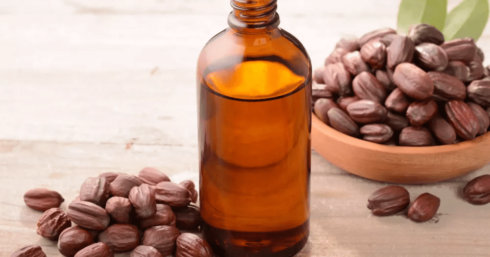 L’huile naturelle de jojoba, une huile incontournable pour le corps et les cheveux