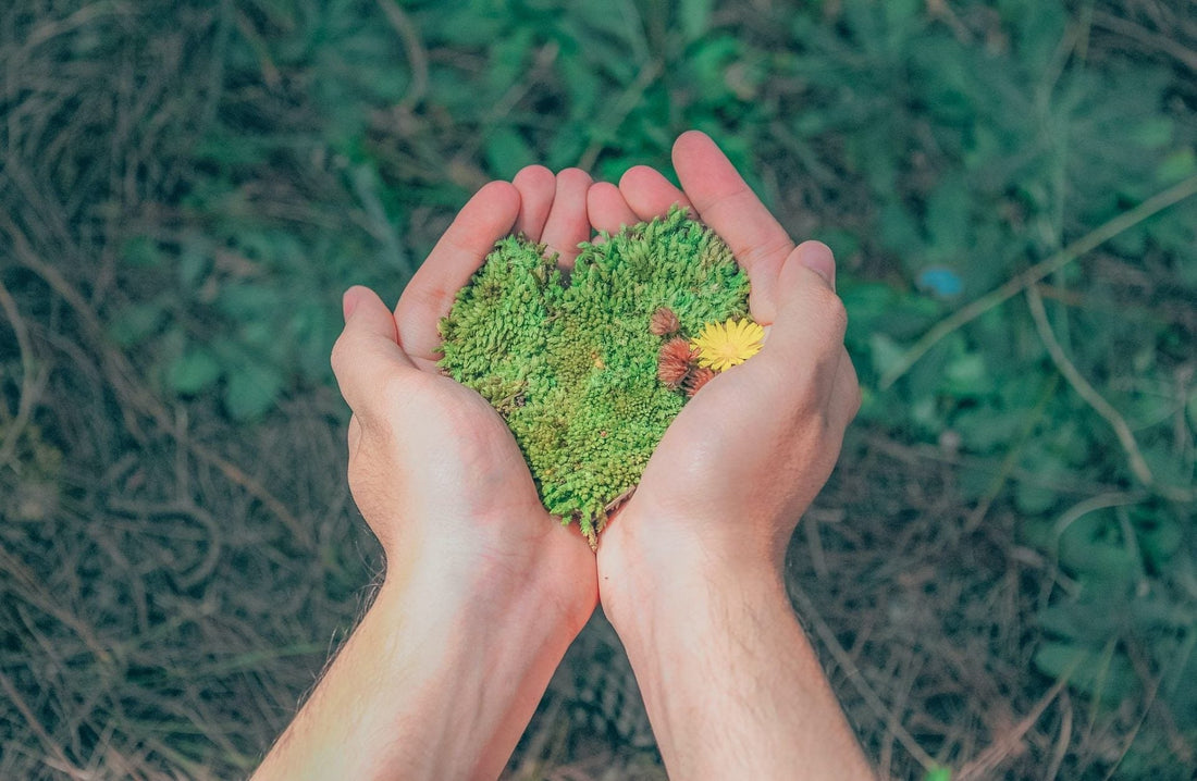 Les trucs et astuces pour un quotidien plus naturel