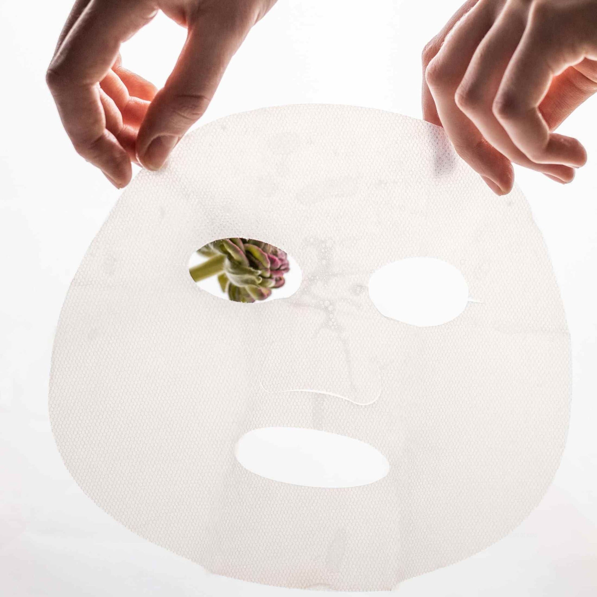 Masque Rédemption Soin Visage