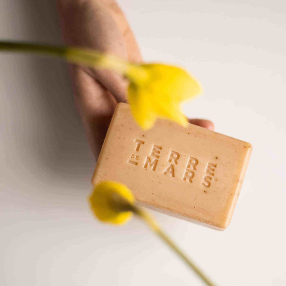 soap bar Reddition selection