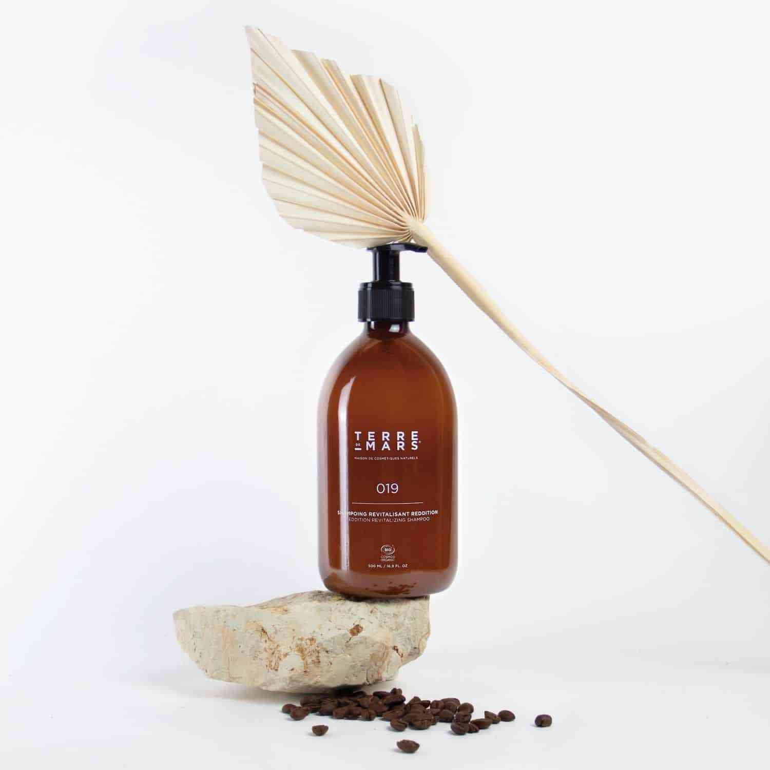 Shampoing Revitalisant Reddition Soins cheveux