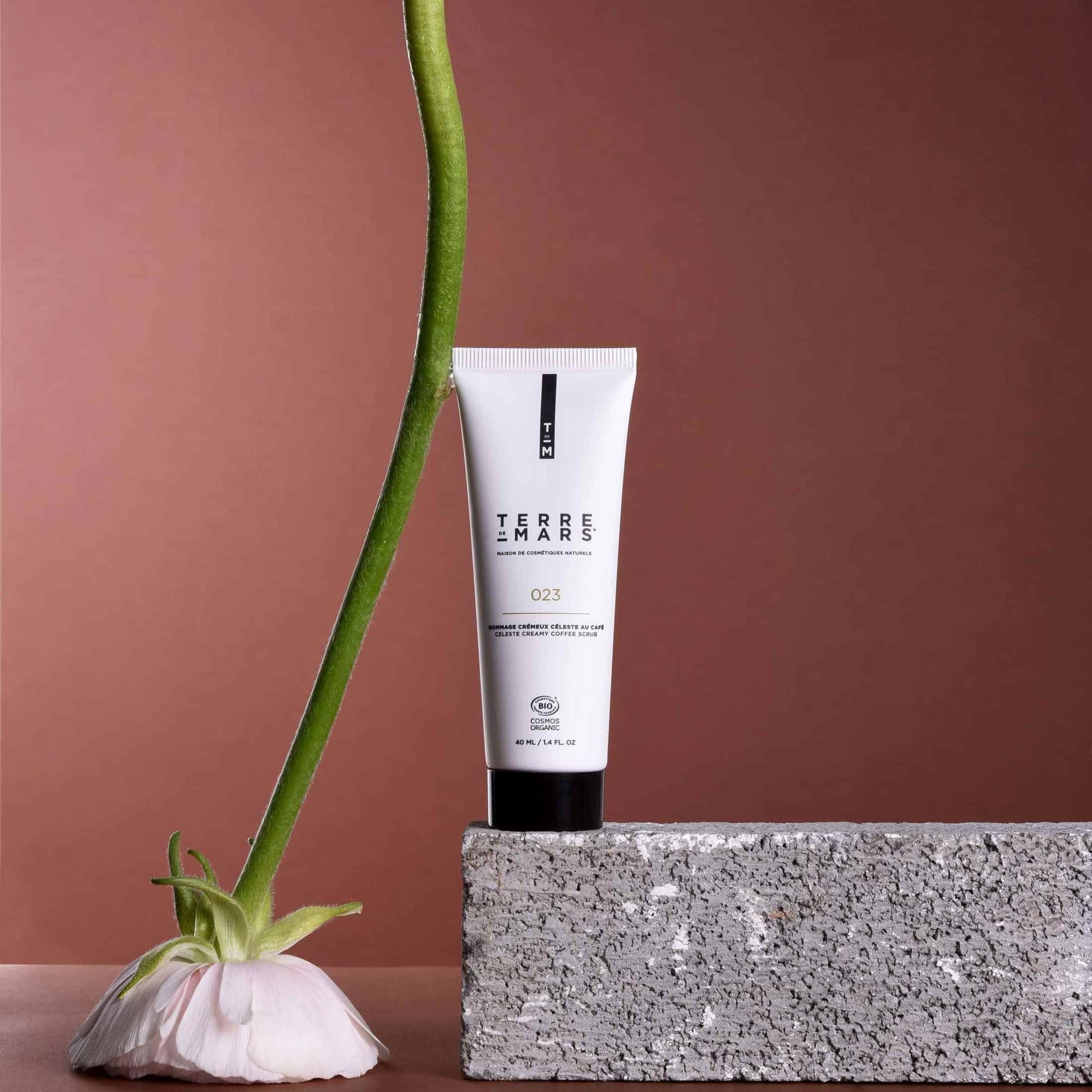 Gommage Crémeux Visage Céleste Soin Visage