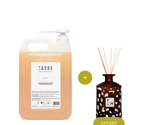 Révélation Diffuseur de Parfum d'Intérieur Maison